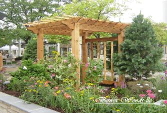 Custom Arbor