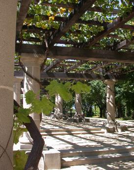 Large Garden Pergola